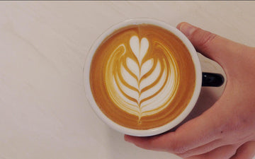 Five Senses - West Melbourne - Drop Coffee